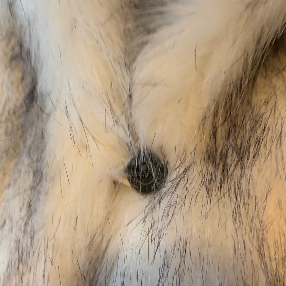 SpiritHoods White Faux Fur Hood with Kitty Ears Collectors Edition - Picture 10 of 16
